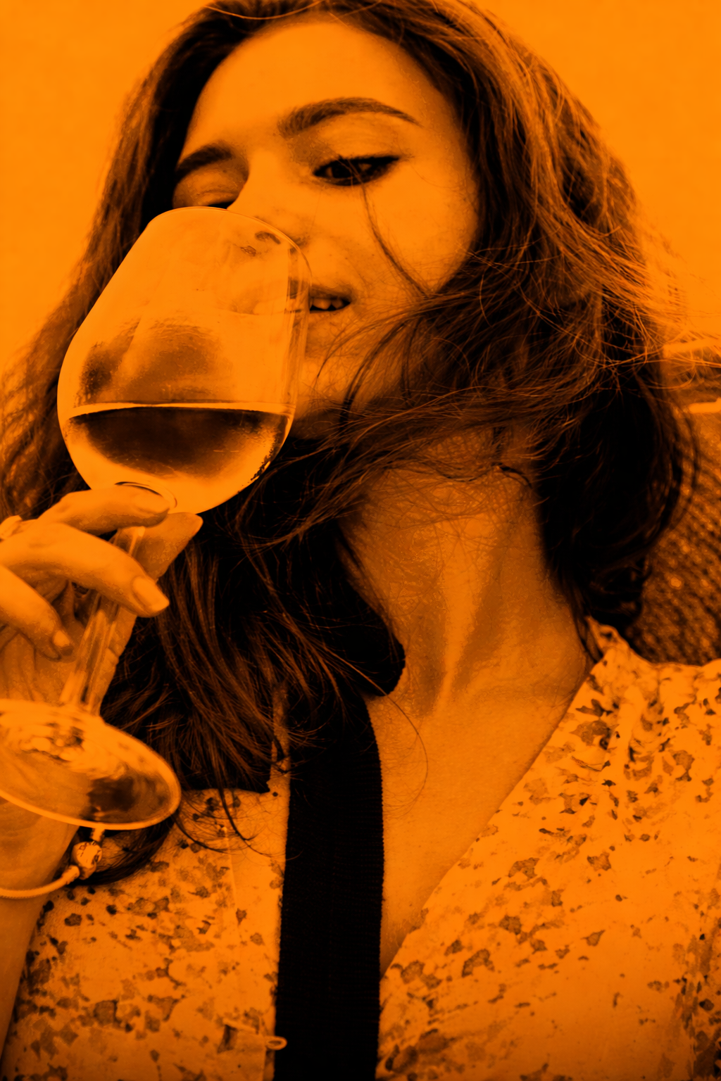 Gusto Festival wine portrait artwork for Flavours of the Southern Italian Sun