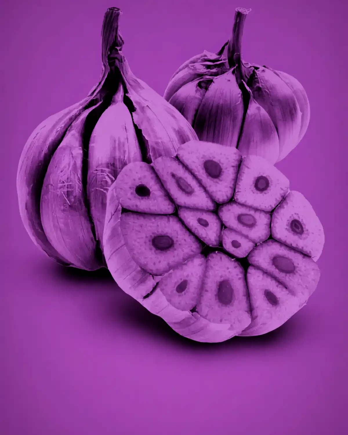 Southern Italian cooking class campaign artwork for Gusto Festival